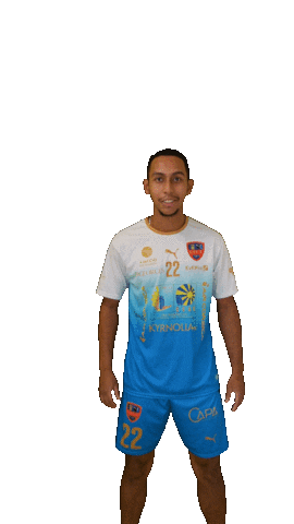 Sticker by GFCA Handball