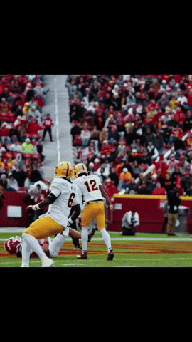 Asu GIF