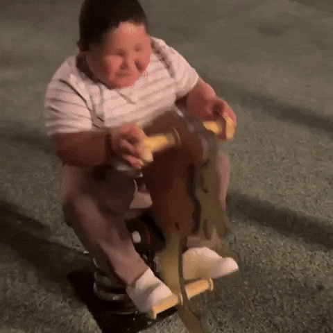 Horse Panda GIF