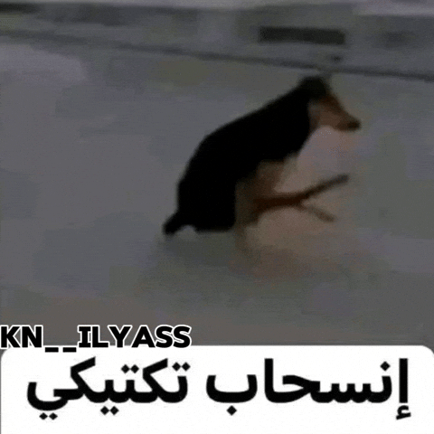 Knilyass GIF