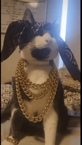 Money GIF