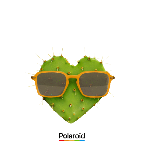 Sunglasses Love Sticker by Polaroid Eyewear