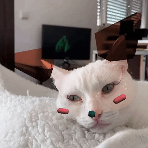 White Cat GIF