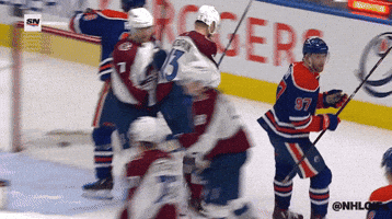 Stanley Cup Playoffs Celebration GIF by NHL