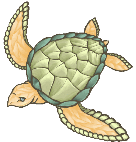 Ocean Turtle Sticker by MeshMinds