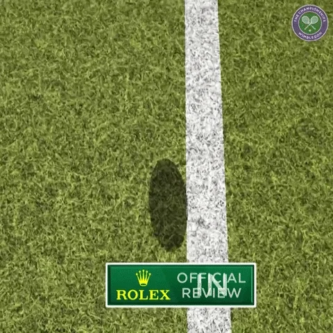 tennis grass GIF by Wimbledon