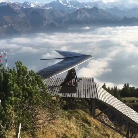 glider gliding GIF