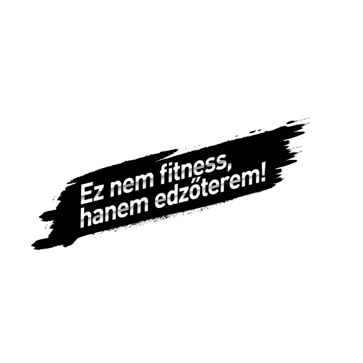FoxGym Győr Sticker