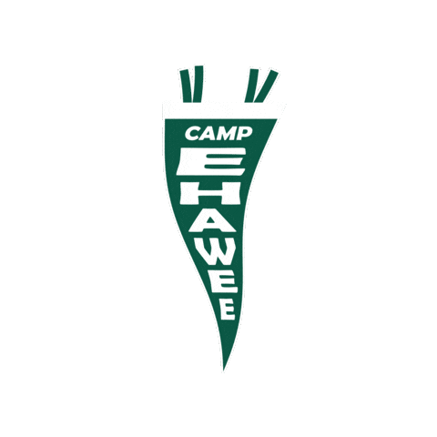 Girl Scout Camp Sticker by GSBadgerland