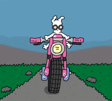 road trip motorcycle GIF by Chippy the Dog