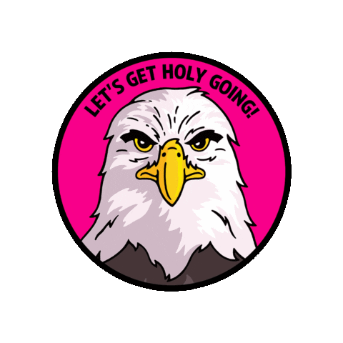 Holy Squad Sticker by HOLY Energy