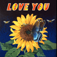I Love You Butterfly GIF