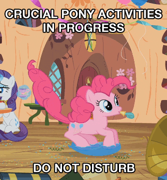 crucial pony activities in progress do not disturb