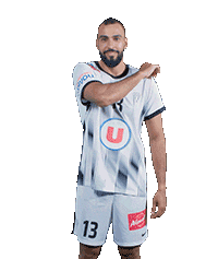 Angersscohandball Sticker
