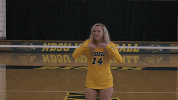 Volleyball Johnson GIF by NDSU Athletics