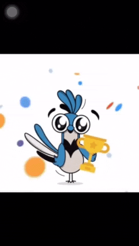 Urracasloyola GIF