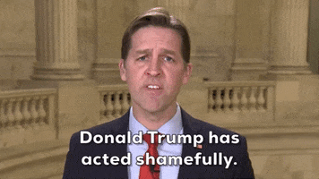 Donald Trump Insurrection GIF by GIPHY News