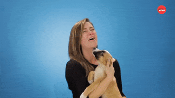 Drunk Dogs GIF by BuzzFeed