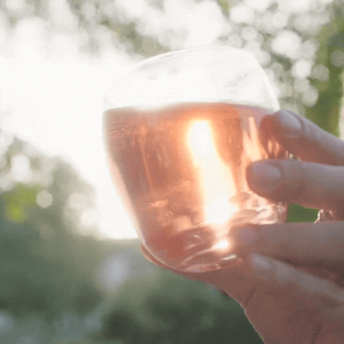 Apple Cider Drink GIF by Angry Orchard