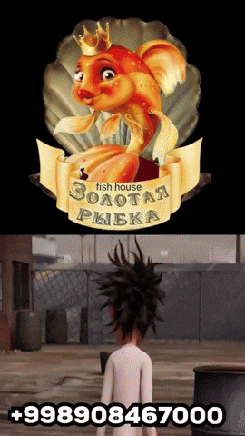 Golden Fish Cafe GIF