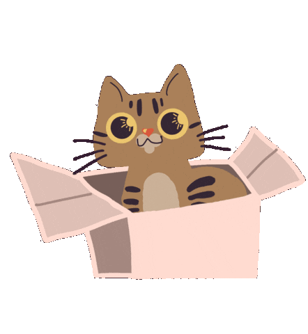 Cat Gatos Sticker by universoanimalmx