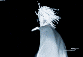 Turn Up Party GIF by DC THE DON