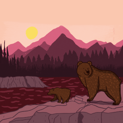 National Parks Thank You GIF by Creative Courage
