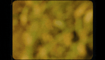 Nuts GIF by USA Peanuts