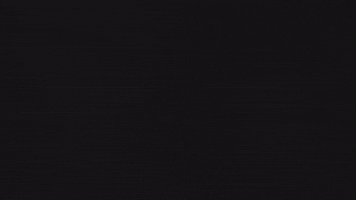 Wild GIF by Spoon
