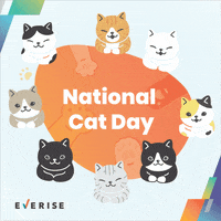Happy International Cat Day GIF by Everise