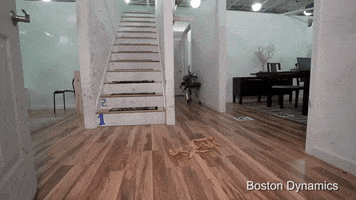 tristen wipe out robot dog GIF