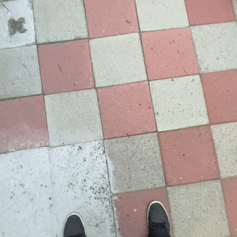 Ball Corgi GIF