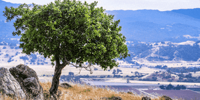 Vajira Samaratne GIF