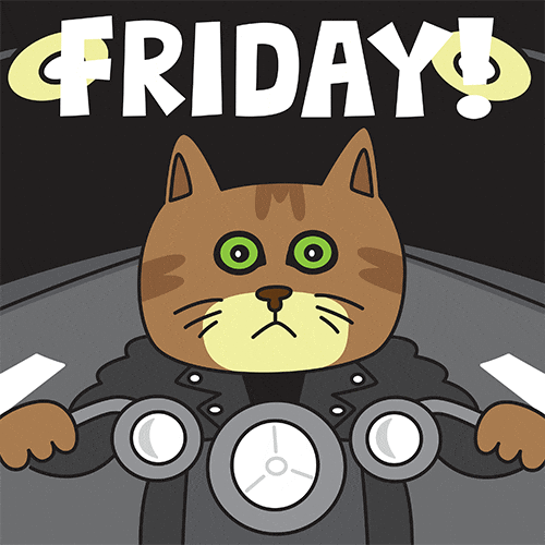 Cats Friday GIF by joeyahlbum