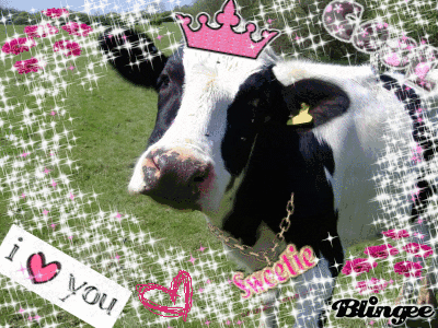 cow