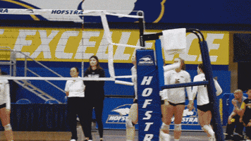 Volleyball Ace GIF by Towson University