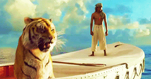 Life of pi s GIFs - Get the best GIF on GIPHY