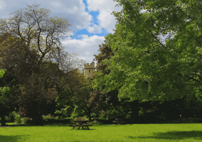 Art GIF