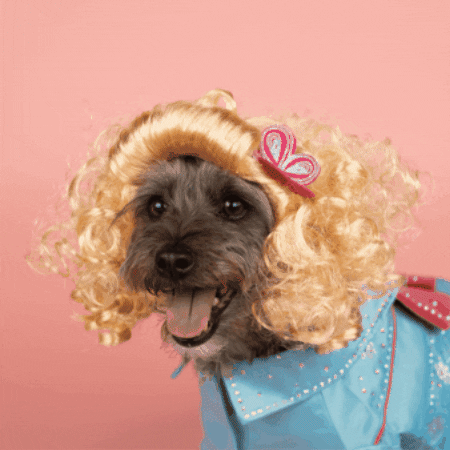 Pet Gala GIF by Dolly Parton