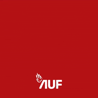 Arbeiderpartiet GIF by AUF Norge