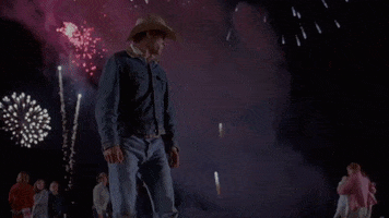 Celebrate 4Th Of July GIF by Focus Features