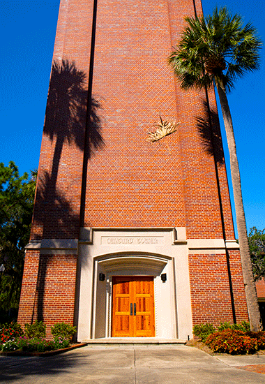 Palm Tree Autumn GIF by University of Florida