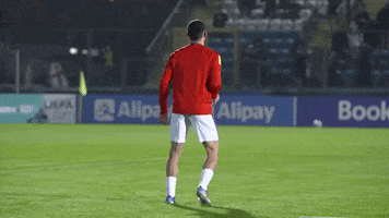 Trent Alexander Arnold Phil Foden GIF by England