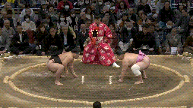 Sumo GIF - Find & Share on GIPHY