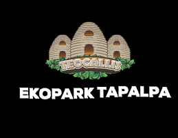 Ekopark Tapalpa GIF