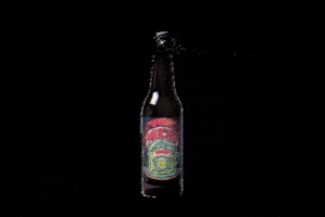 naobeer beer craft beer cerveza artesanal lanzarote GIF