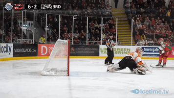 Ice Hockey Mosey GIF by Cardiff Devils