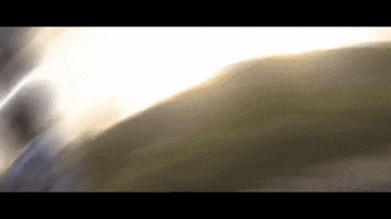 Dance Dancing GIF by Cliff Savage