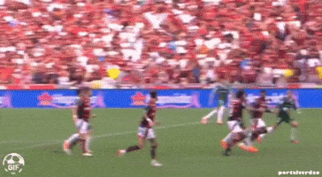 Sep GIF
