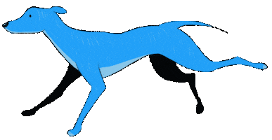 VETO Tierschutz Sticker